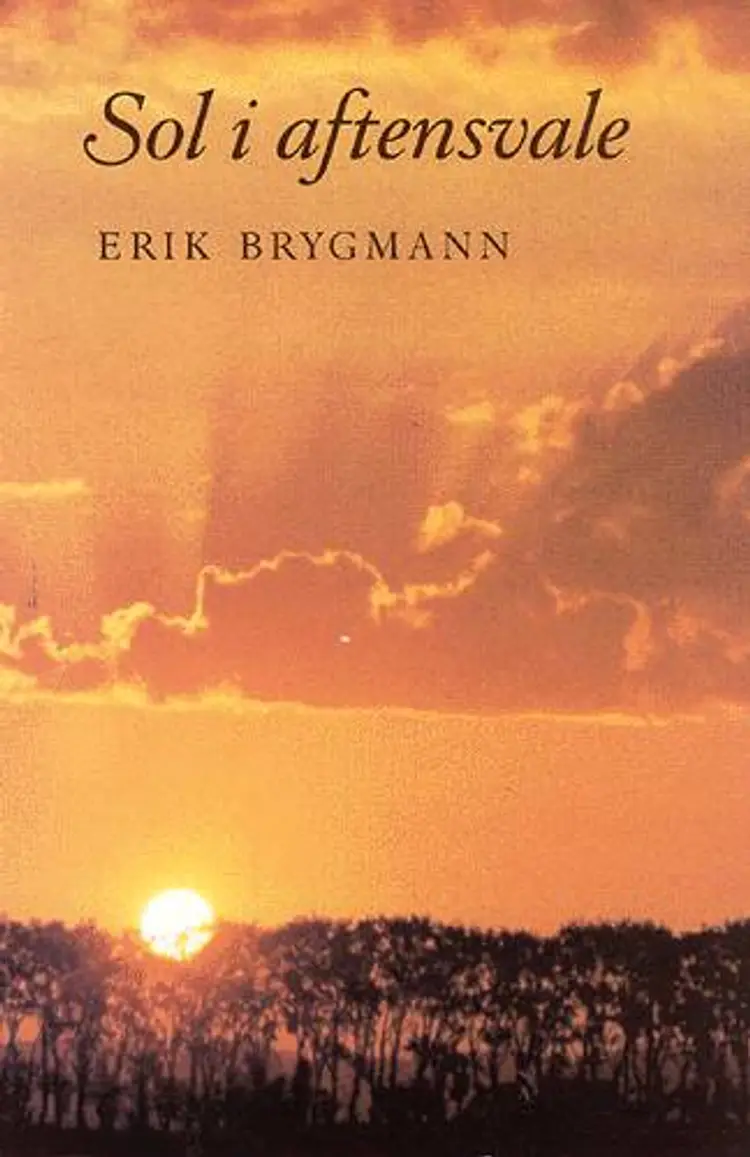 Sol i aftensvale af Erik Brygmann