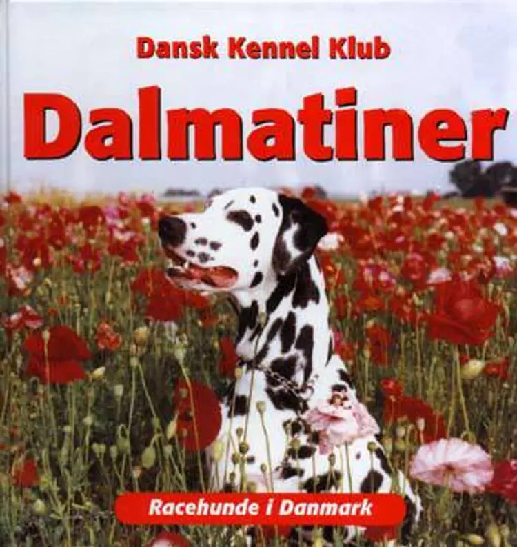 Dalmatiner af Dansk Dalmatiner Klub