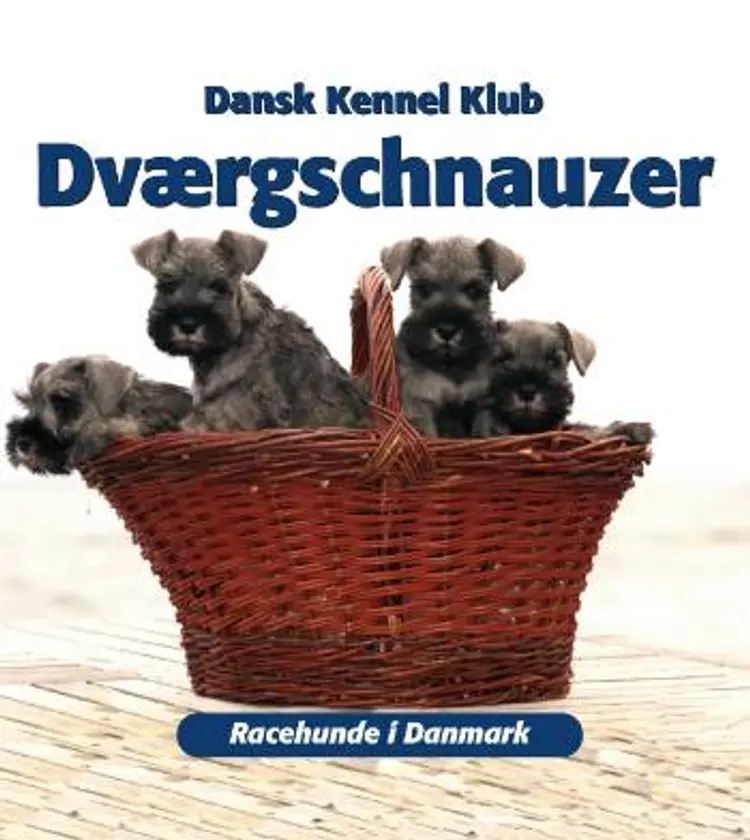 Dværgschnauzer af Dansk Kennel Klub