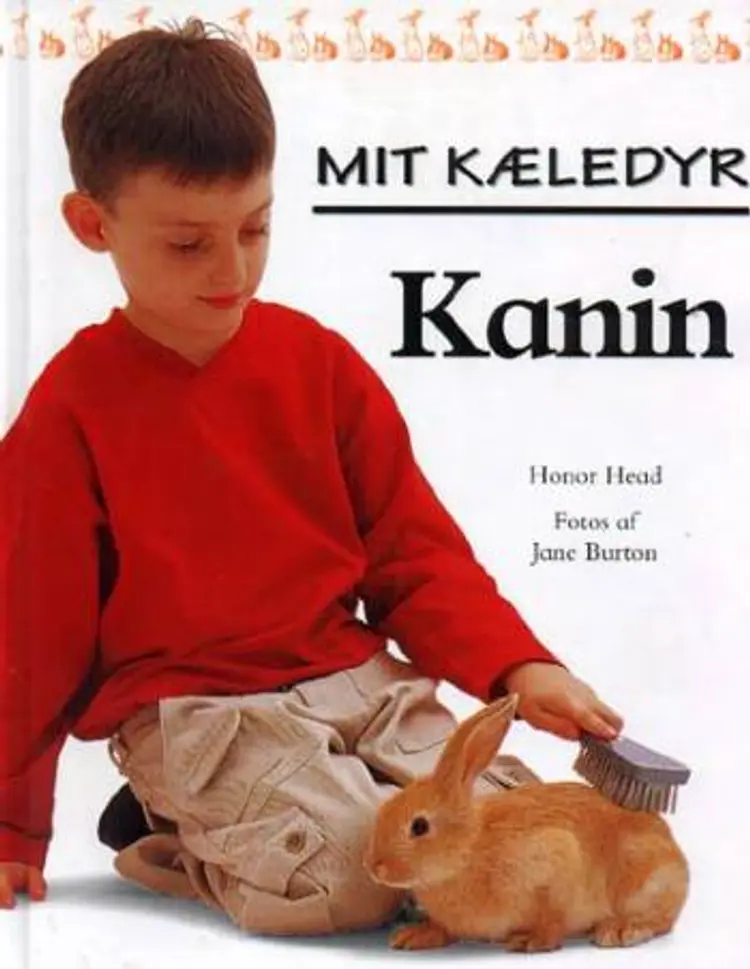 Kanin af Honor Head