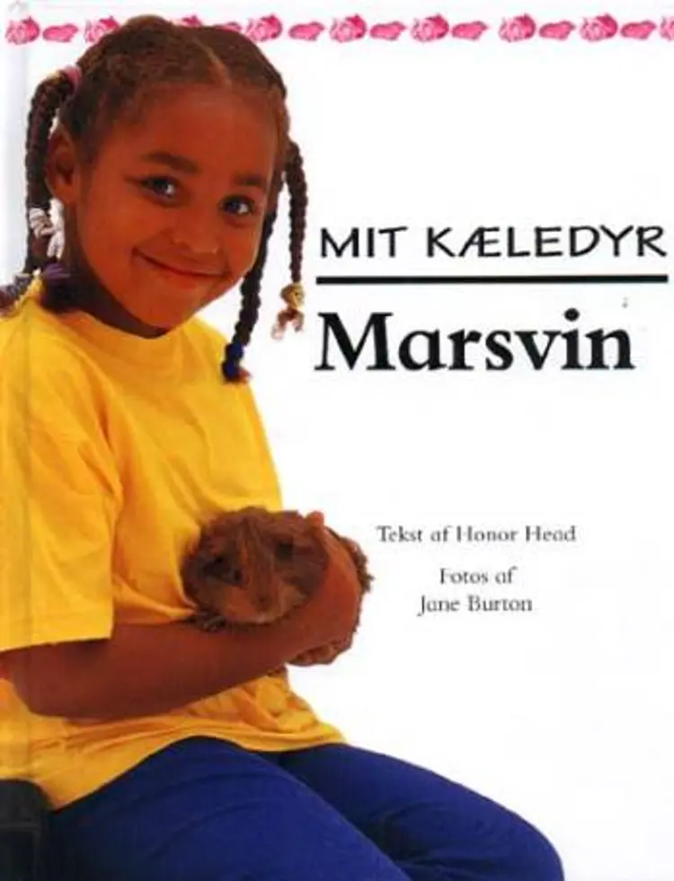 Marsvin af Honor Head