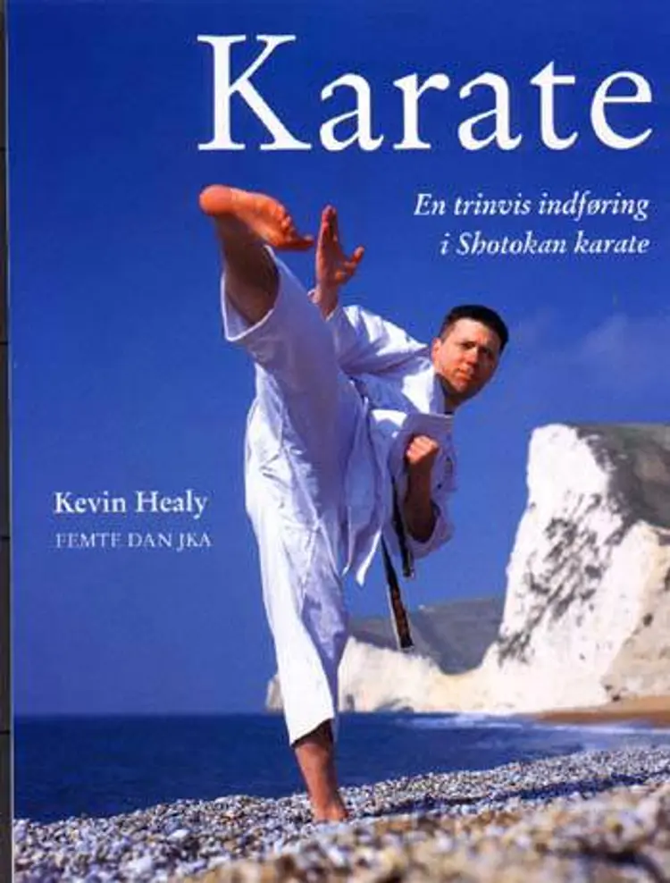 Karate af Kevin Healy