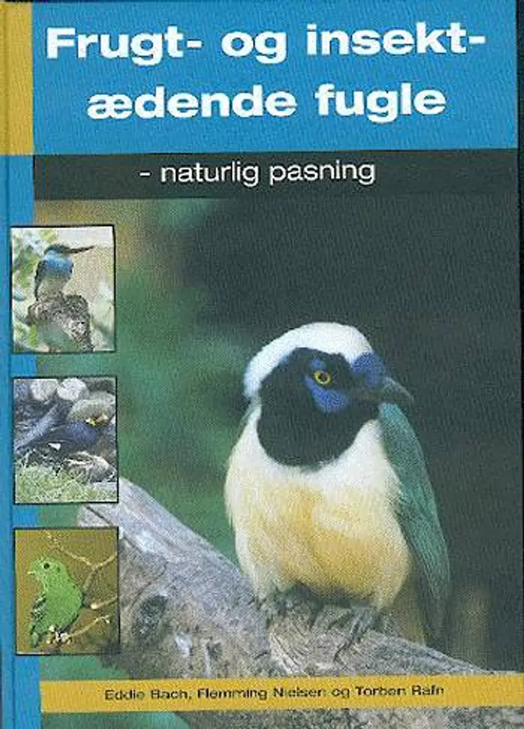 Frugt- og insektædende fugle af Torben Rafn m.fl.