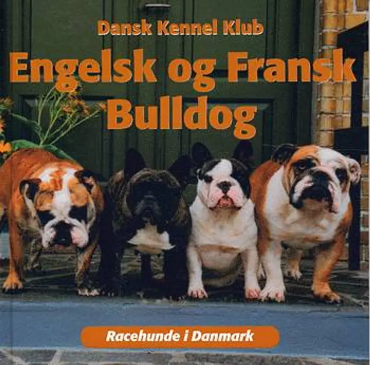 Engelsk og fransk bulldog