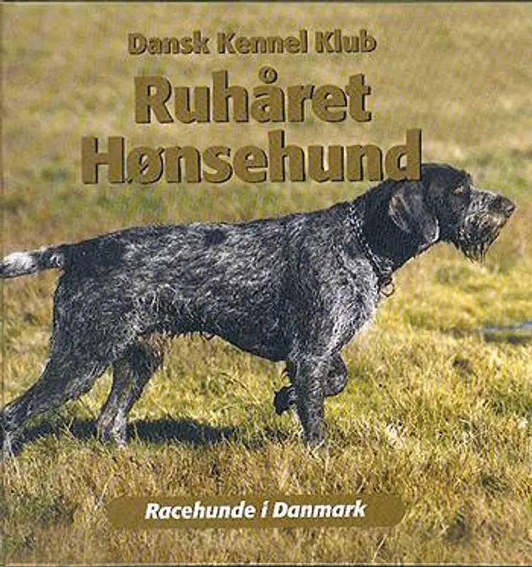 Ruhåret hønsehund af Jens O. Pedersen