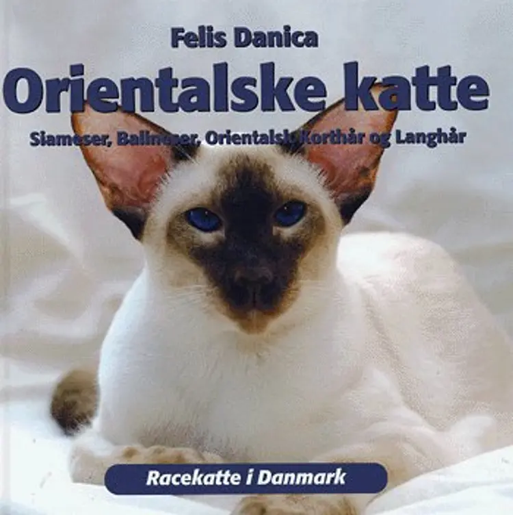 Orientalske katte