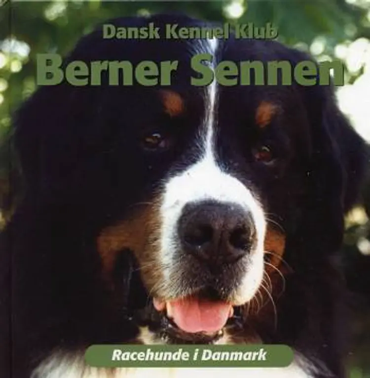 Berner Sennen af Lone Pedersen