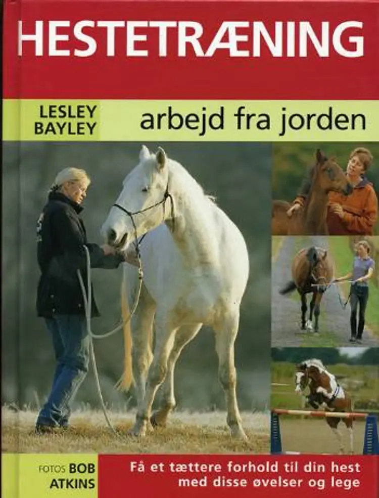 Hestetræning af Lesley Bayley
