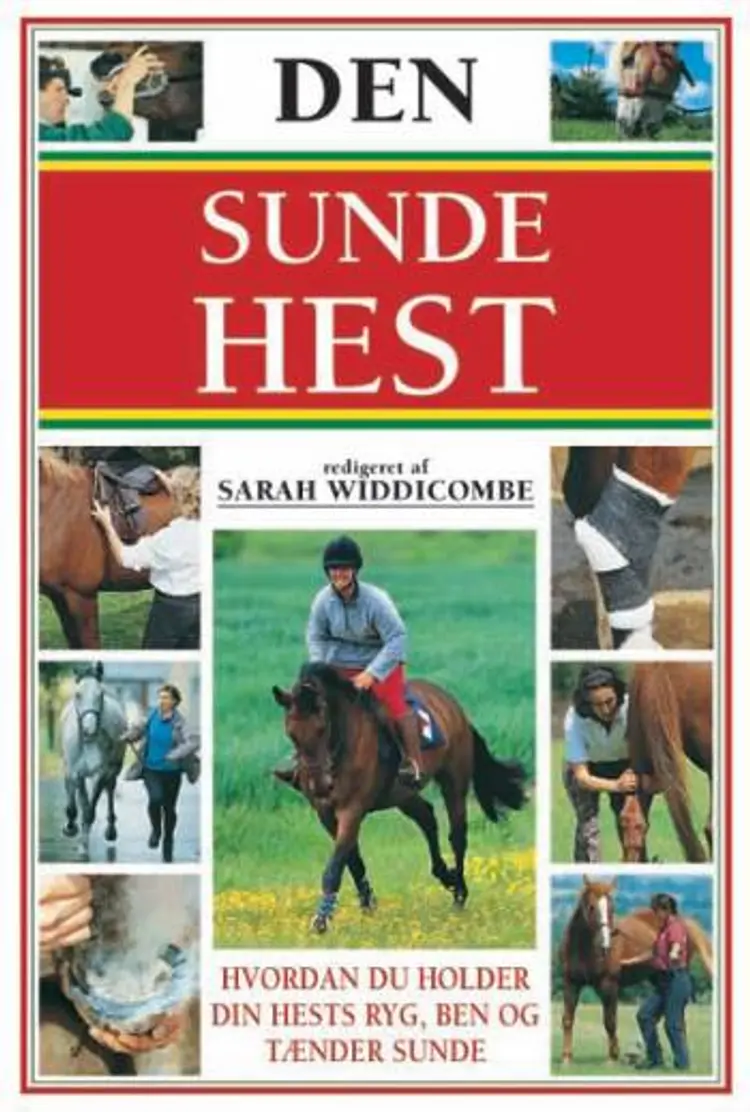 Den sunde hest