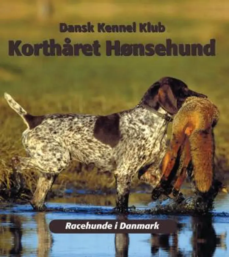Korthåret hønsehund af Flemming Konnerup