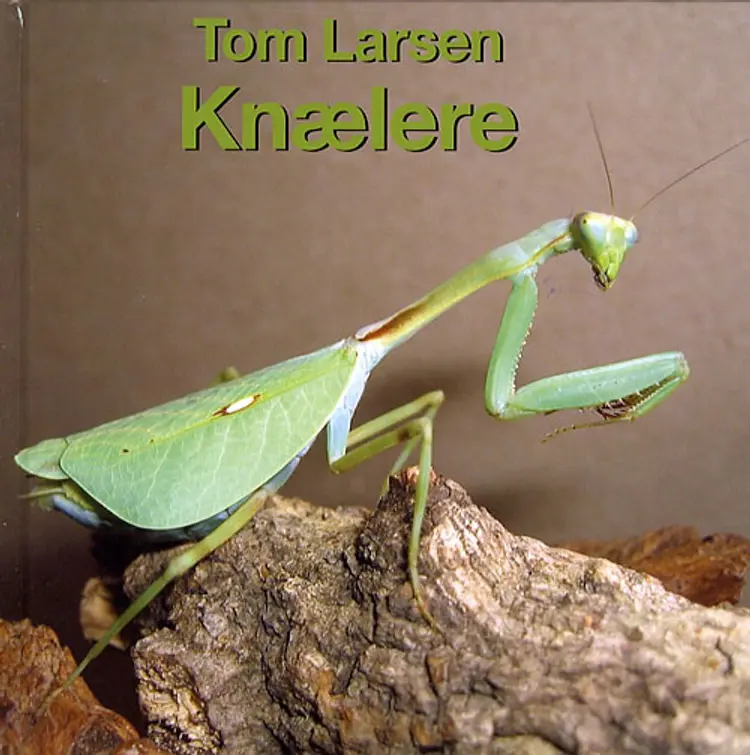 Knælere af Tom Larsen