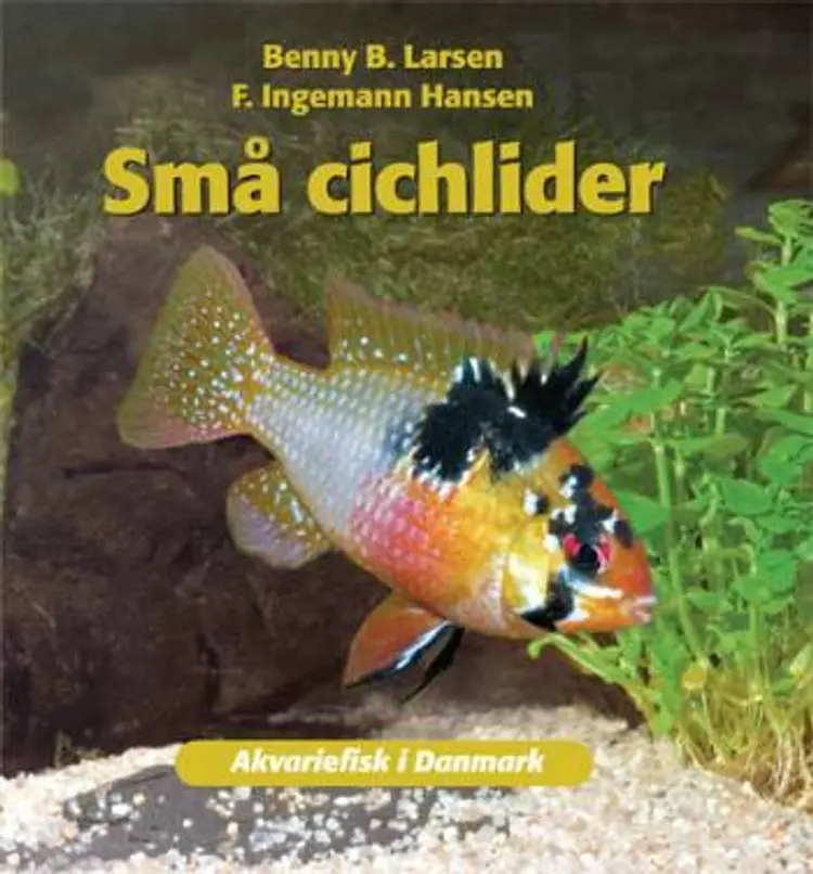 Små cichlider af Benny B. Larsen F. Ingemann Hansen