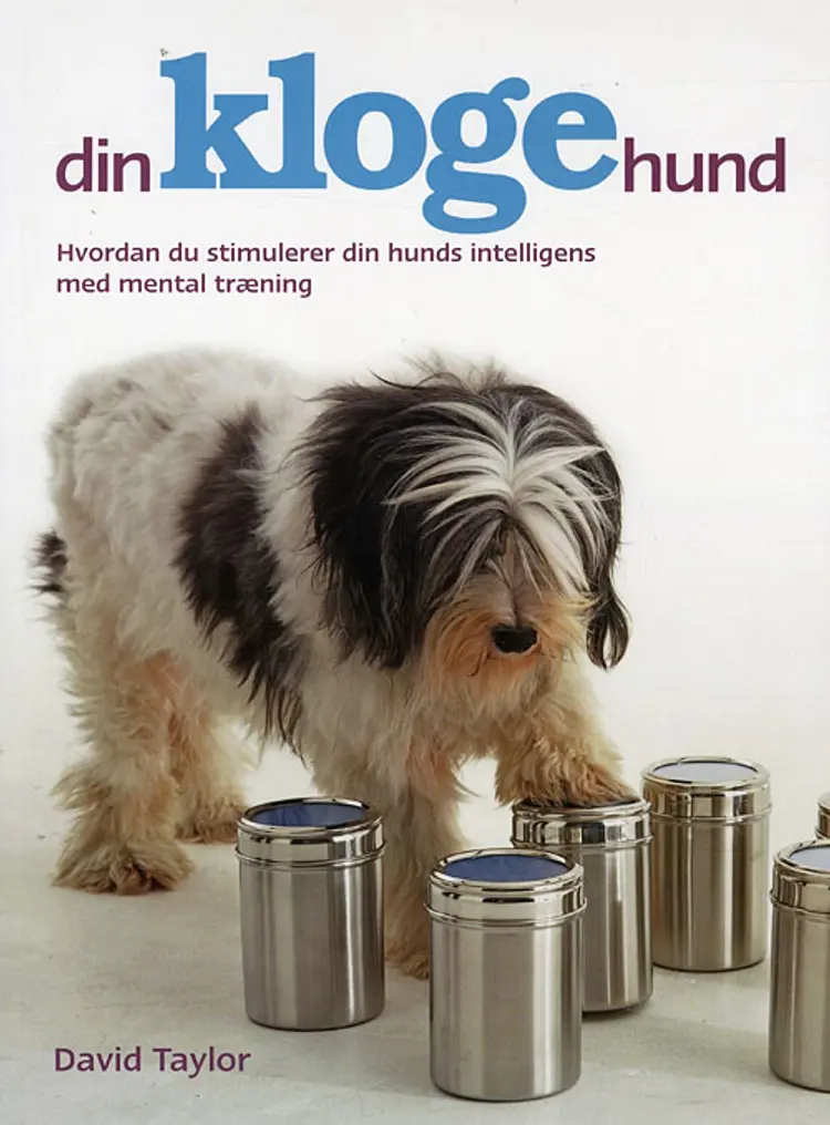 Din kloge hund af David Taylor