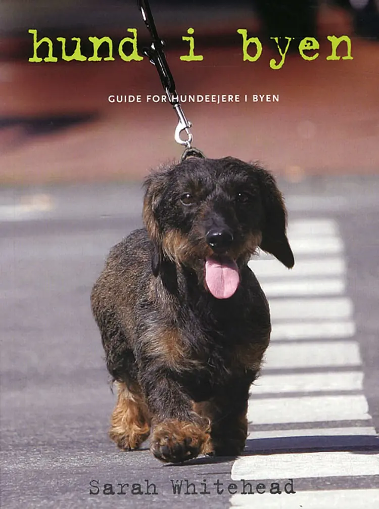 Hund i byen af Sarah Whitehead
