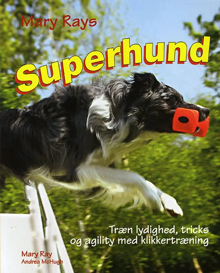 Superhund af Mary Ray