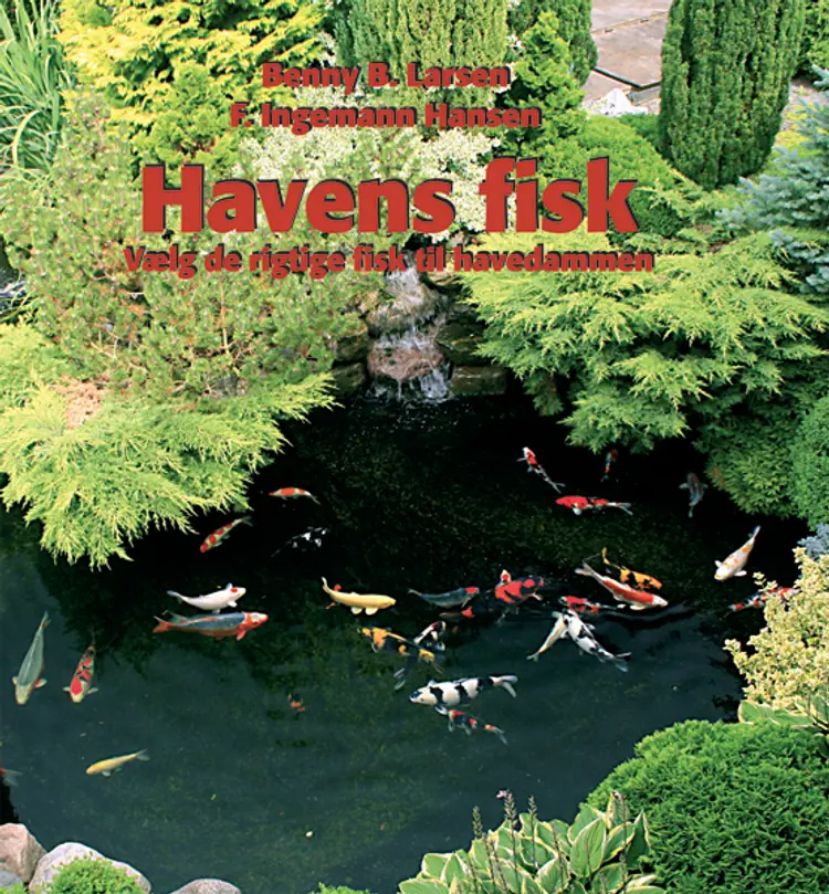 Havens fisk af Benny B. Larsen F. Ingemann Hansen