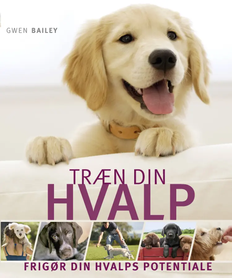 Træn din hvalp af Gwen Bailey