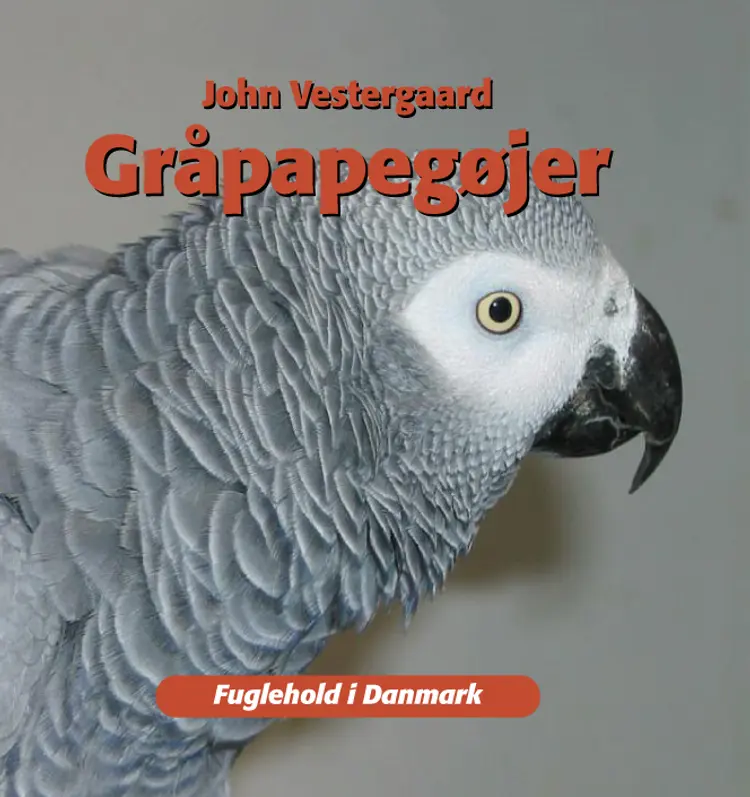 Gråpapegøjer af John Vestergaard
