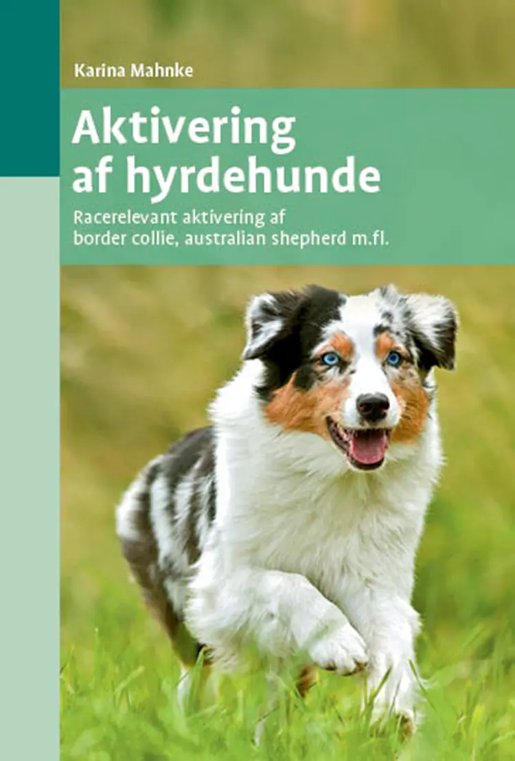 Aktivering af hyrdehunde af Karina Mahnke