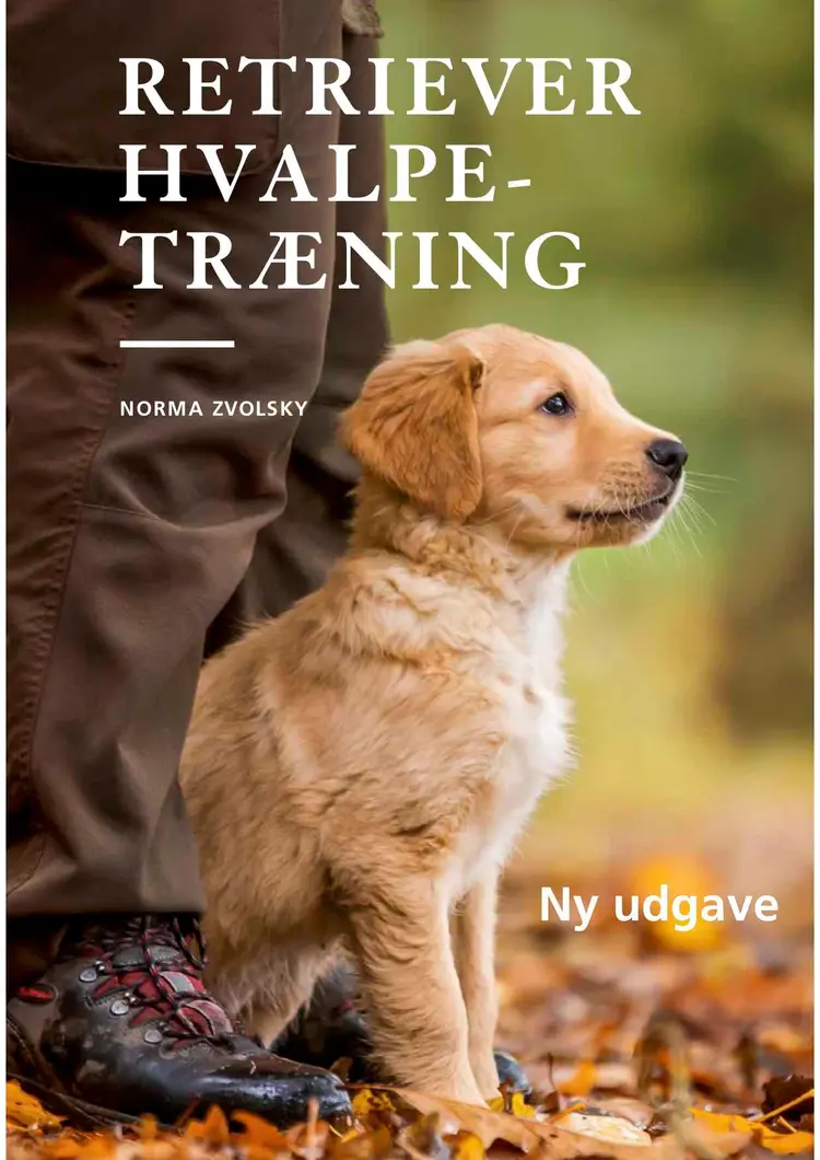 Retriever hvalpetræning af Norma Zvolsky