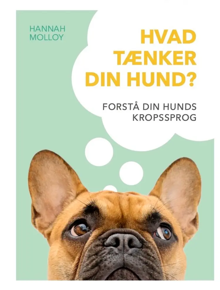 Hvad tænker din hund? af Hannah Molloy