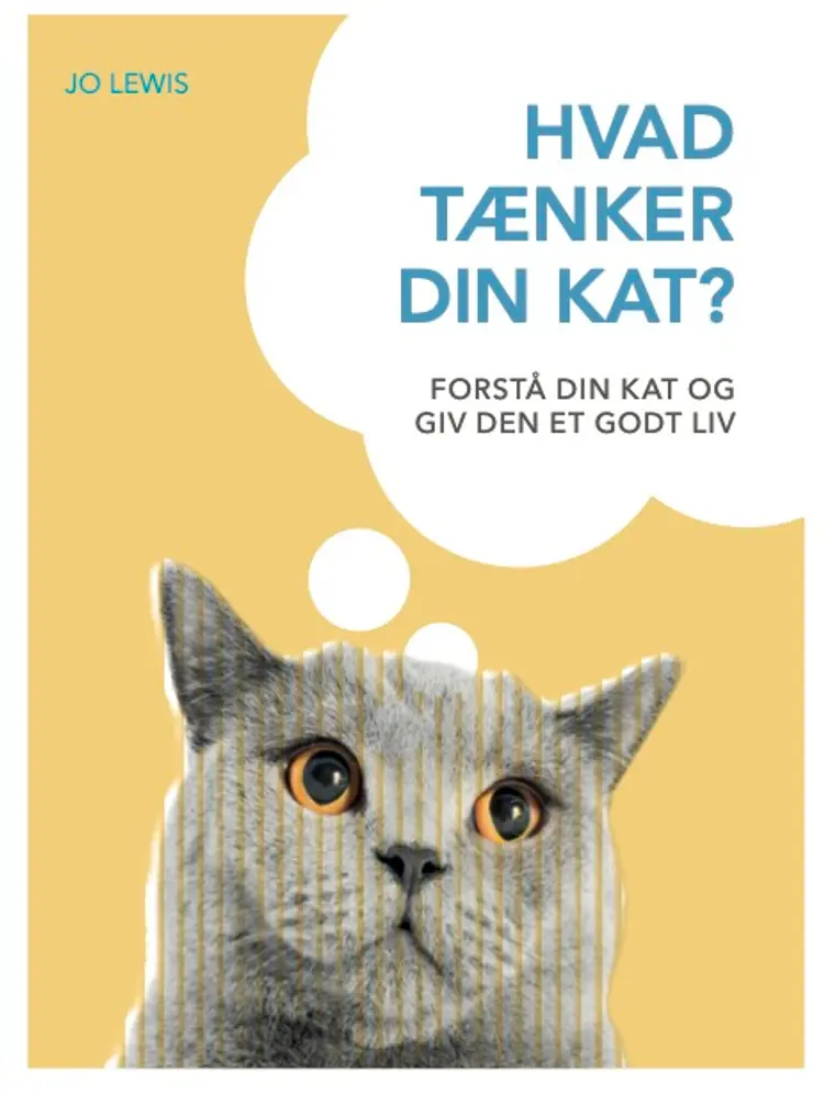 Hvad tænker din kat? af Jo Lewis