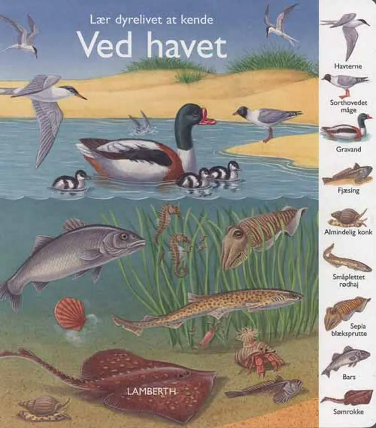 Ved havet af Gisela Fischer