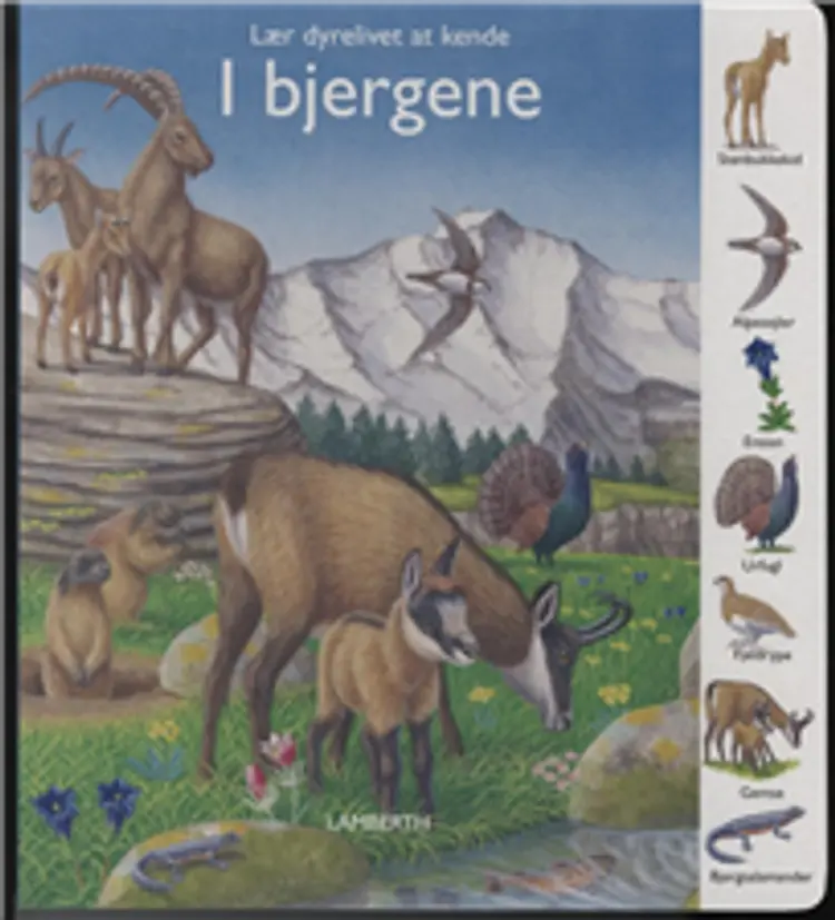 I bjergene af Gisela Fischer