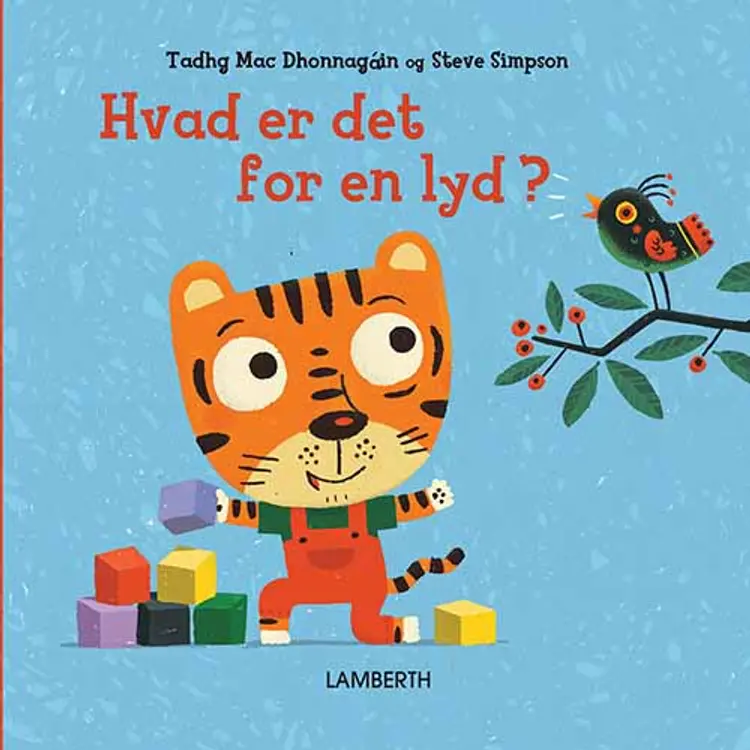Hvad er det for en lyd? af Tadhg Mac Dhonnagain