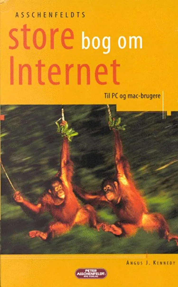 Asschenfeldts store bog om Internet af Angus J. Kennedy