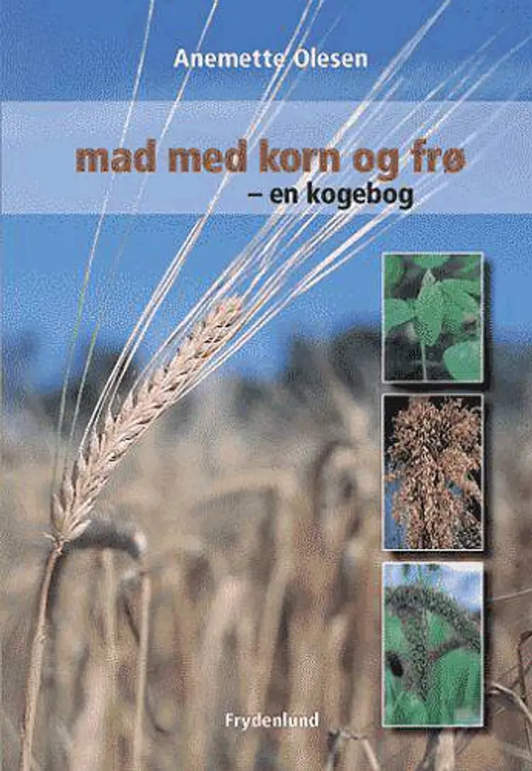Mad med korn og frø af Anemette Olesen