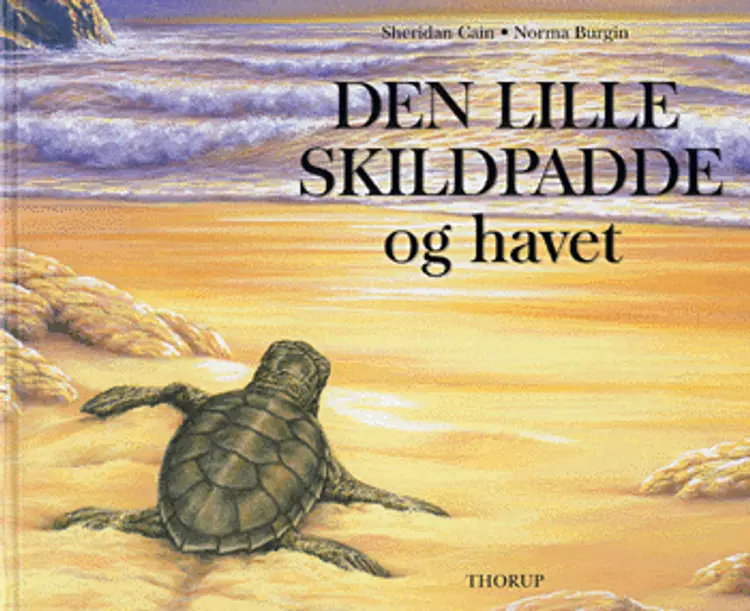 Den lille skildpadde og havet af Sheridan Cain