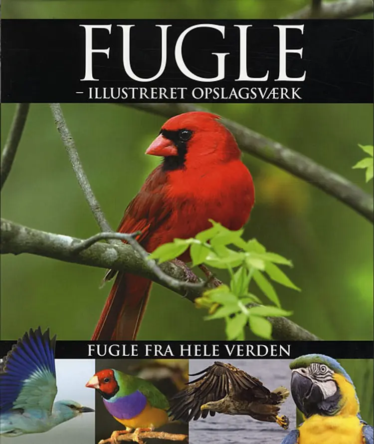 Fugle af P. Frances