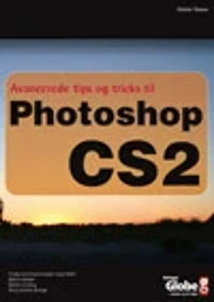 Avancerede tips og tricks til Photoshop CS2 af Martin Simon