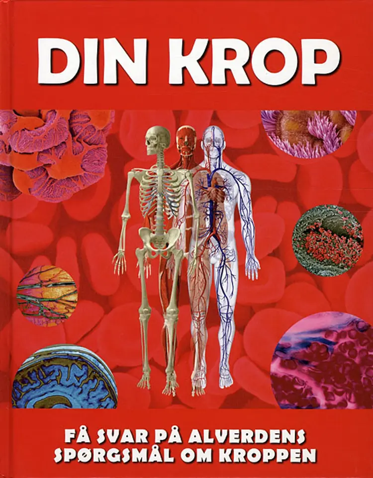 Din krop af Richard Walker