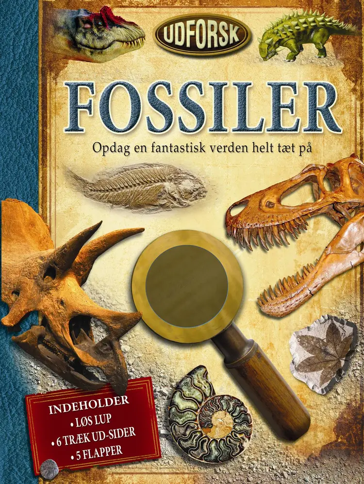 Udforsk fossiler af Douglas Palmer