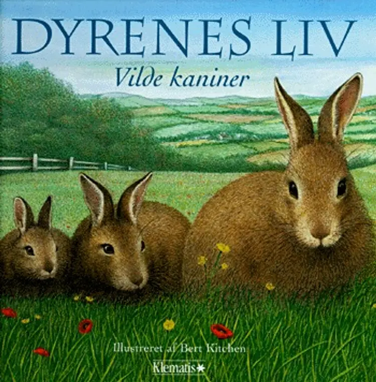 Dyrenes liv - vilde kaniner af Sally Tagholm