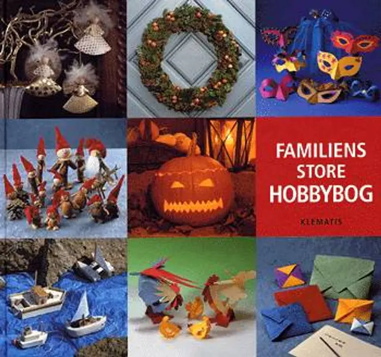 Familiens store hobbybog af Mette Voldmester
