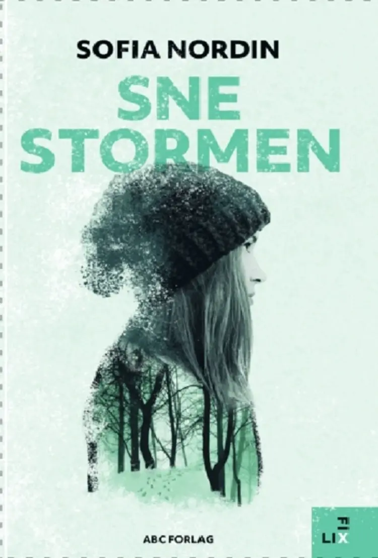 Snestormen af Sofia Nordin