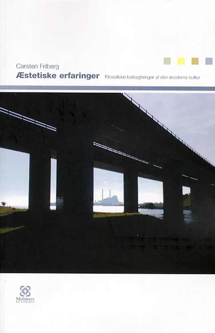 Æstetiske erfaringer af Carsten Friberg