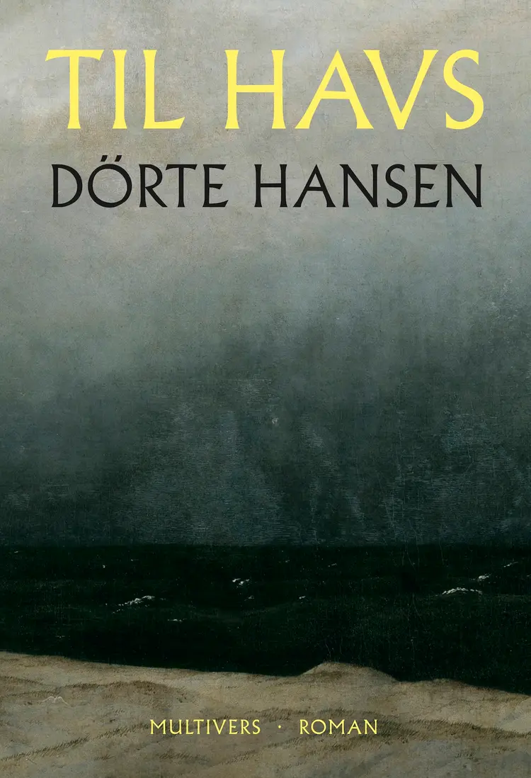 Til havs af Dörte Hansen