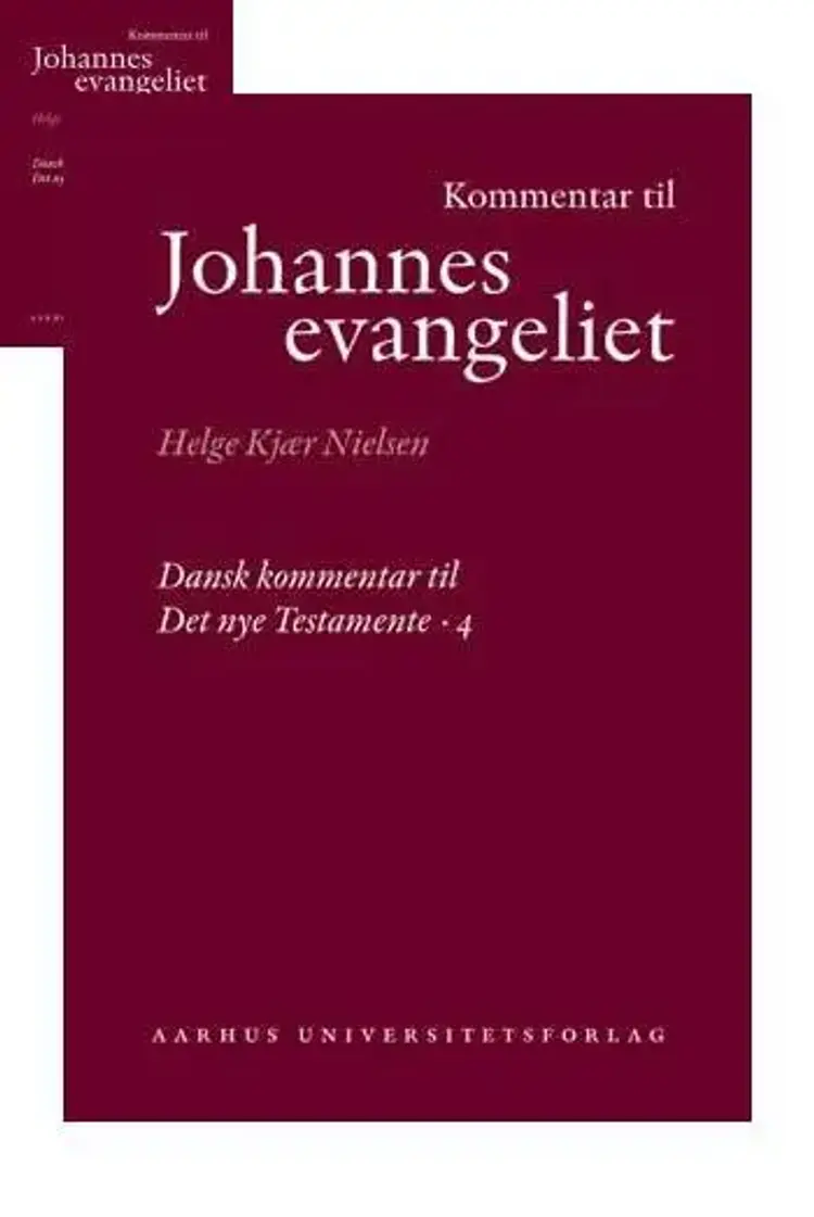 Kommentar til Johannesevangeliet af Helge Kjær Nielsen