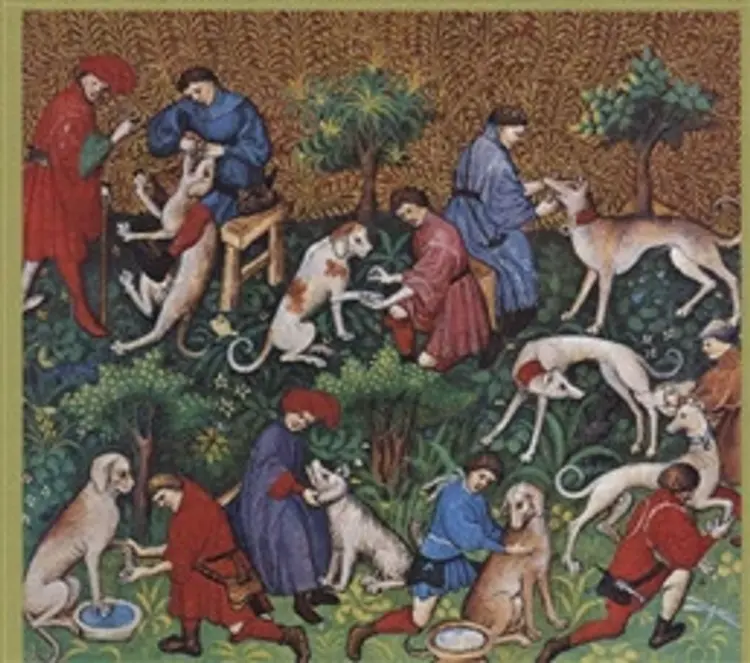 Hunden i historien af Rikke Agnete Olsen