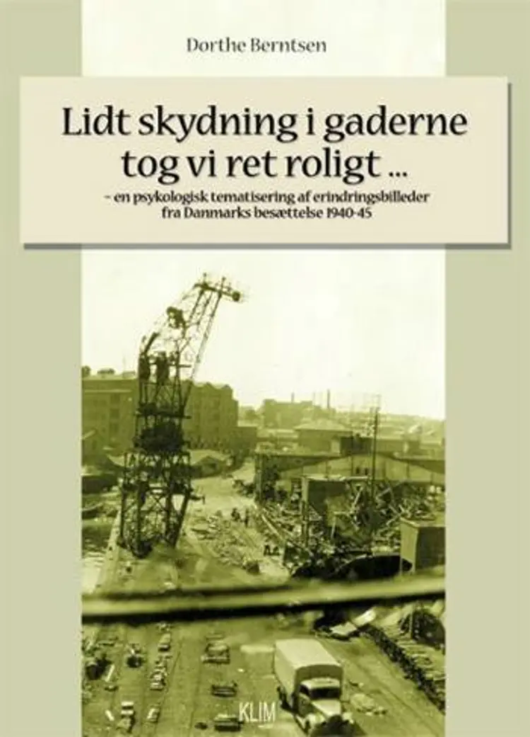 Lidt skydning i gaderne tog vi ret roligt af Dorthe Berntsen