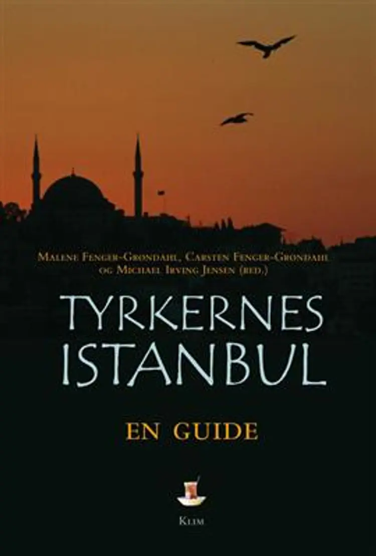 Tyrkernes Istanbul af Michael Irving Jensen