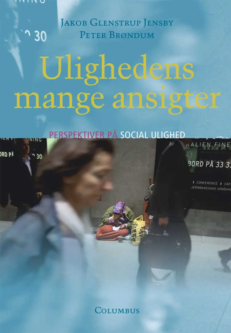 Ulighedens mange ansigter af Peter-Christian Brøndum