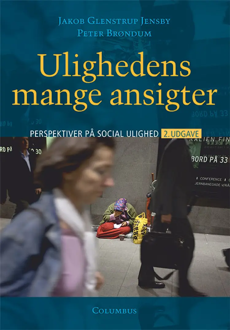 Ulighedens mange ansigter, 2. udg. af Peter-Christian Brøndum