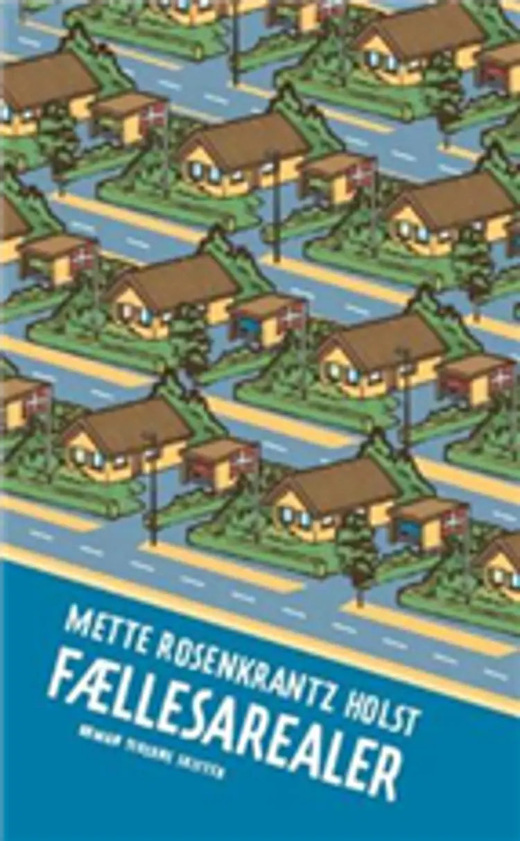 Fællesarealer af Mette Rosenkrantz Holst
