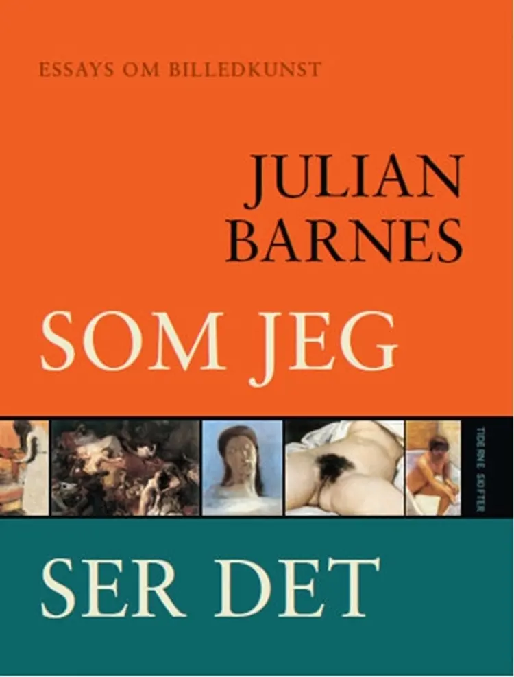 Som jeg ser det af Julian Barnes