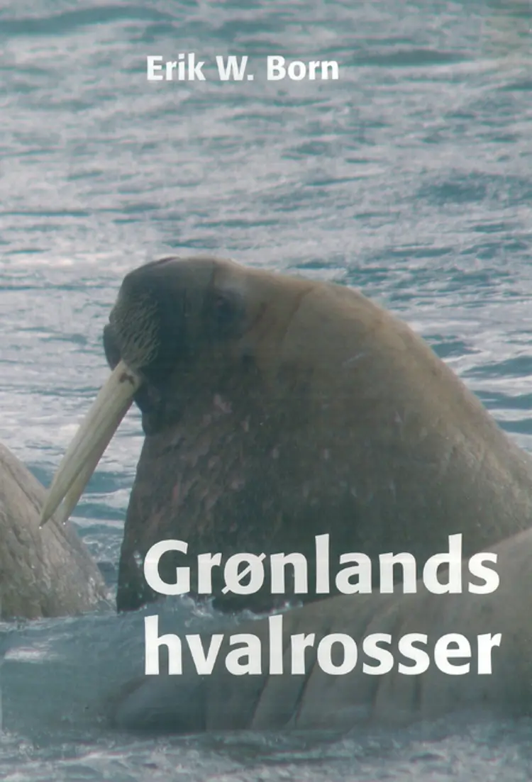 Grønlands hvalrosser af Erik W. Born